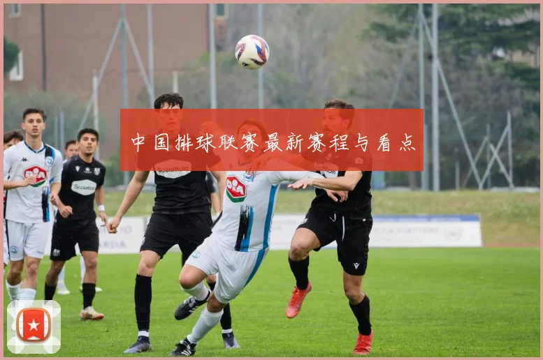 中国排球联赛最新赛程与看点