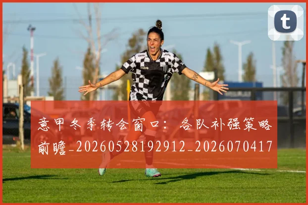 意甲冬季转会窗口：各队补强策略前瞻_20260528192912_20260704174745_20260723174410