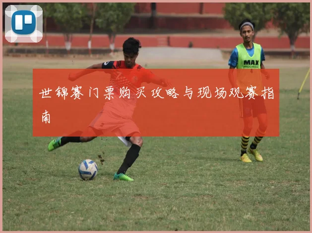 世锦赛门票购买攻略与现场观赛指南