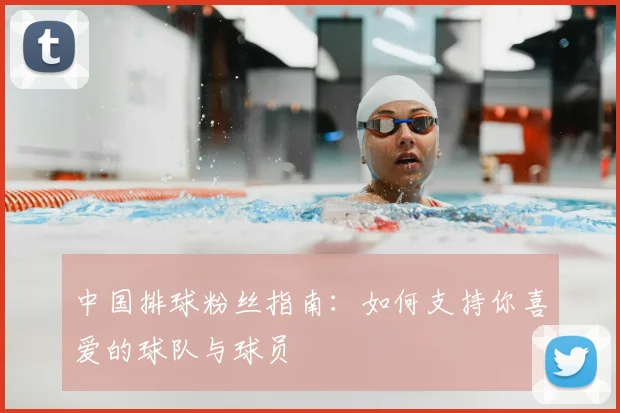 中国排球粉丝指南:如何支持你喜爱的球队与球员