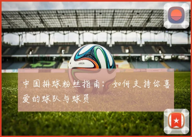 中国排球粉丝指南：如何支持你喜爱的球队与球员